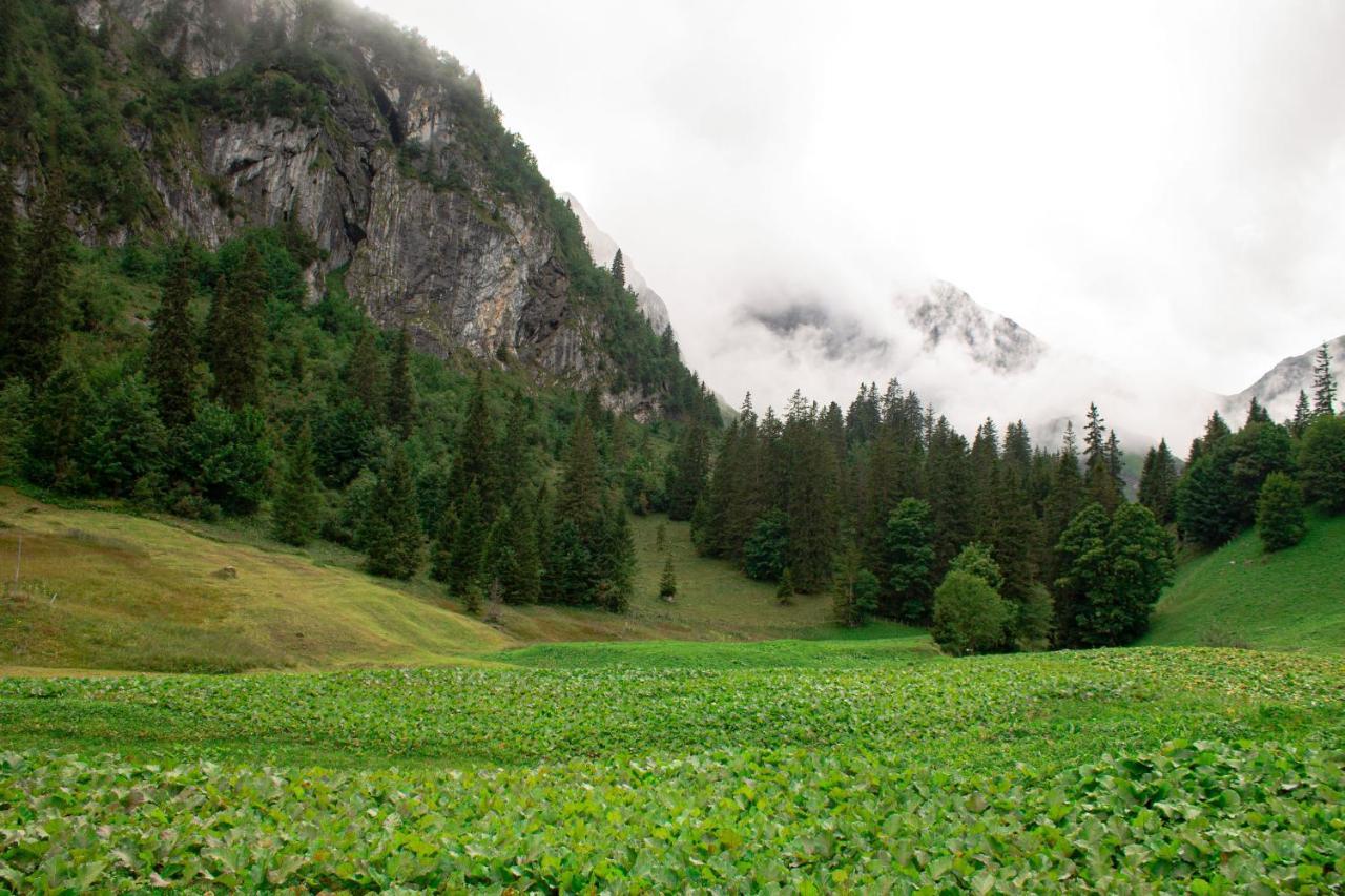 Hotel Berggasthaus Gitschenen Isenthal Zewnętrze zdjęcie