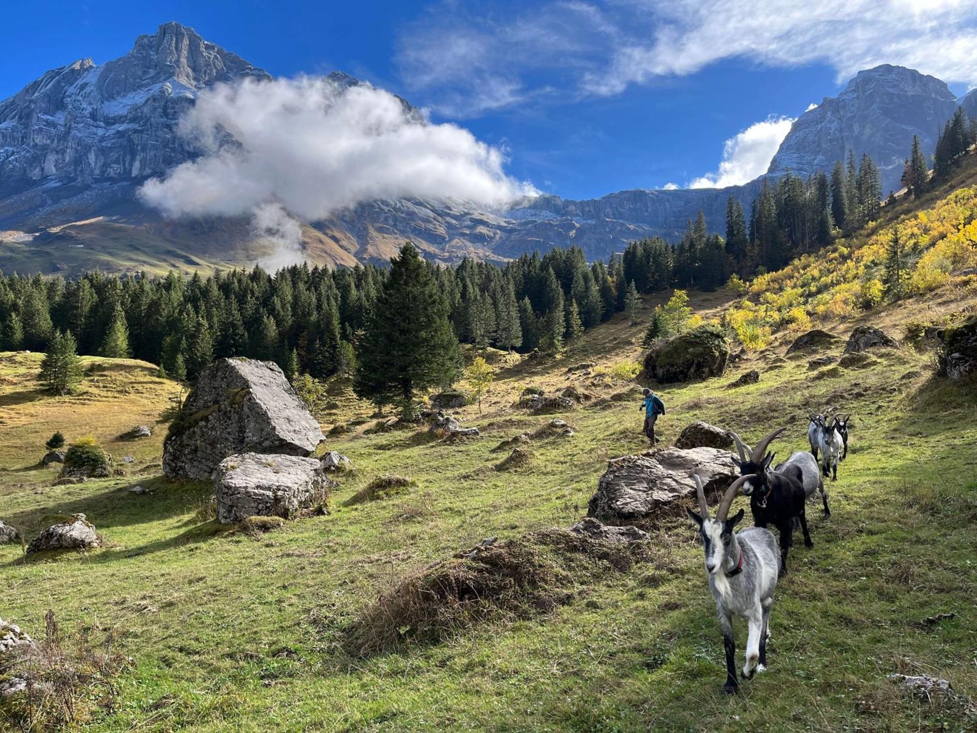 Hotel Berggasthaus Gitschenen Isenthal Zewnętrze zdjęcie